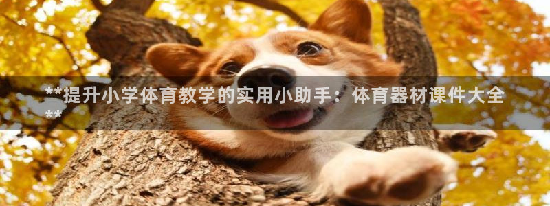 耀世娱乐登陆地址