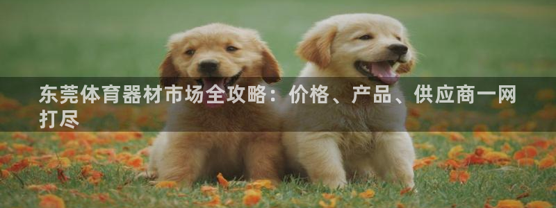 耀世首开什么意思