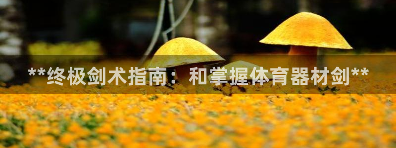 哪吒s耀世版价格