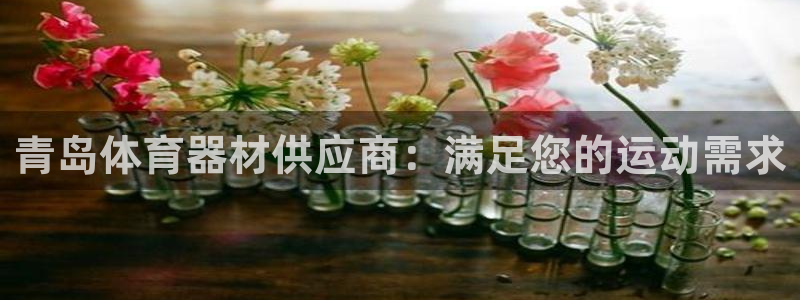 耀世娱乐下载最新版本安装包大全：青岛体育器材供应商：