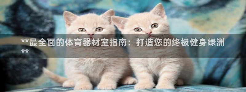 耀世平台无7O777：**最全面的体育器材室指南：打