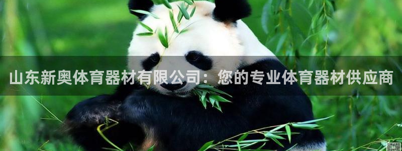 耀世娱乐平台巴7O777：山东新奥体育器材有限公司：