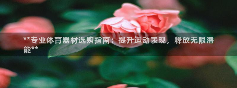 耀世平台会员中心怎么进：**专业体育器材选购指南：提