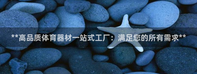 耀世集团耀宗：**高品质体育器材一站式工厂：满足您的