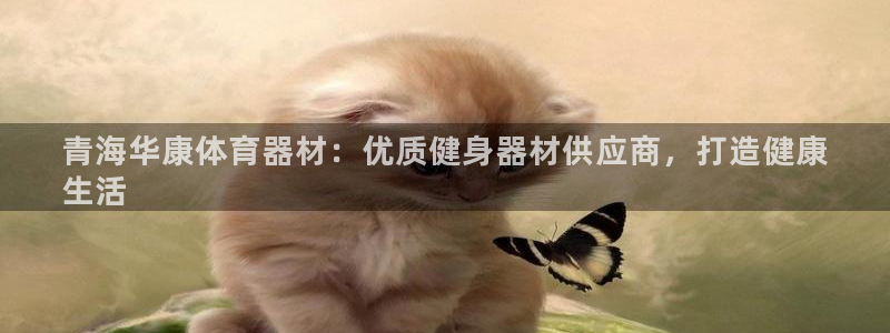 耀世平台主管代理：青海华康体育器材：优质健身器材供应