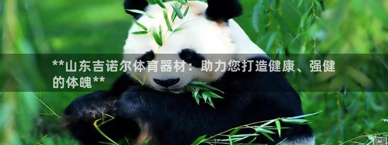 耀世娱乐总代理是谁：**山东吉诺尔体育器材：助力您打