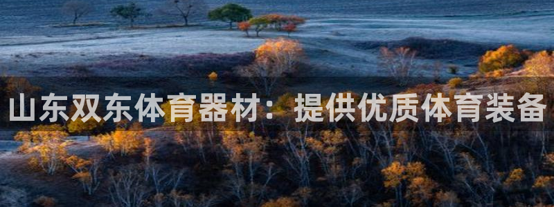 耀世令是什么：山东双东体育器材：提供优质体育装备