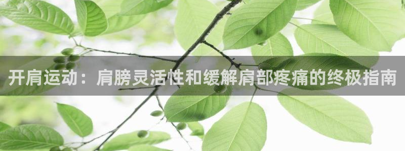 耀世集团耀哥：开肩运动：肩膀灵活性和缓解肩部疼痛的终