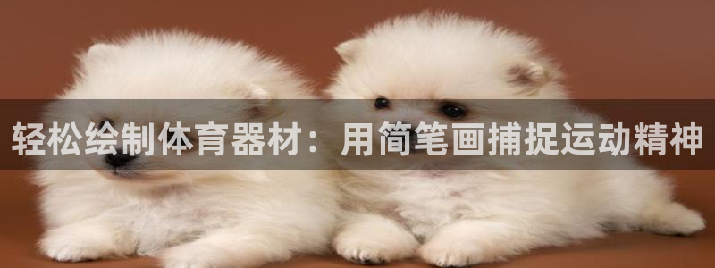 耀世娱乐返点：轻松绘制体育器材：用简笔画捕捉运动精神