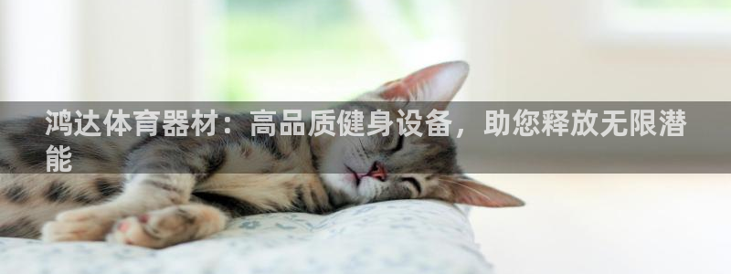 耀世平台重7O777：鸿达体育器材：高品质健身设备，