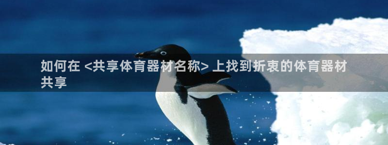 耀世平台登录地址：如何在 <共享体育器材名称> 上找