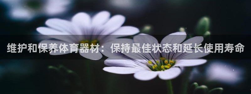 耀世娱乐官方网站：维护和保养体育器材：保持最佳状态和