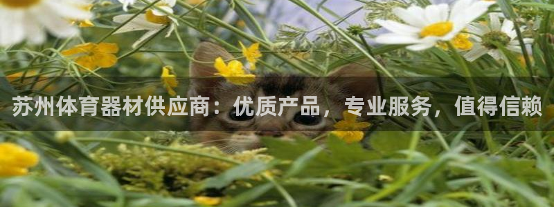 六星耀世什么意思：苏州体育器材供应商：优质产品，专业