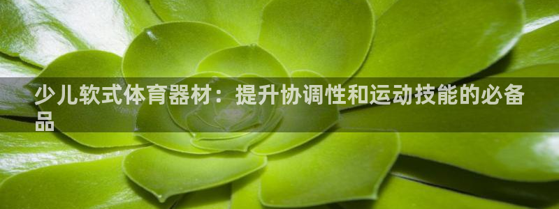 耀世平台必7O777：少儿软式体育器材：提升协调性和