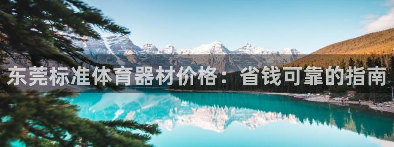 耀世的拼音：东莞标准体育器材价格：省钱可靠的指南