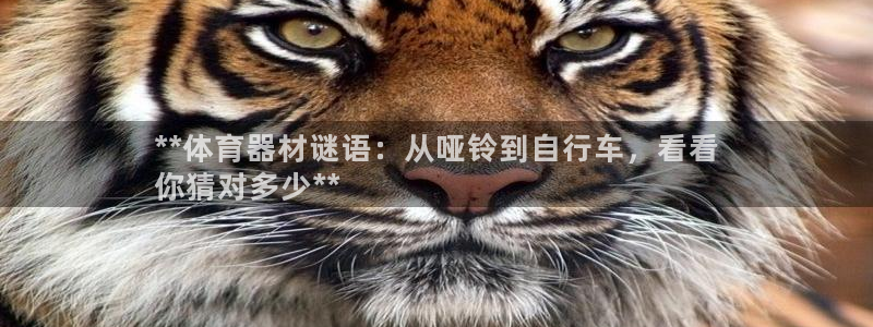 耀世娱乐平台官网首页：**体育器材谜语：从哑铃到自行