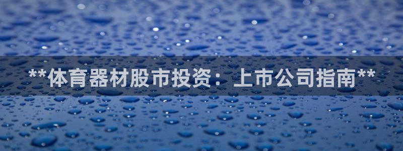 四川耀世发展集团：**体育器材股市投资：上市公司指南