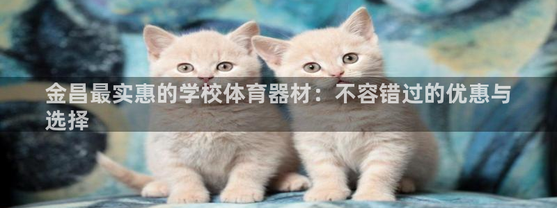 耀世平台合作 585341：金昌最实惠的学校体育器材