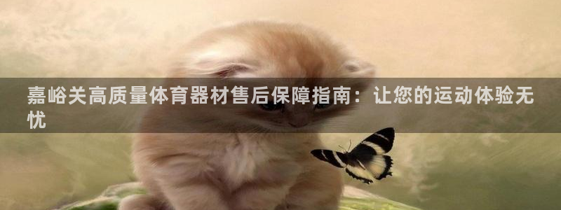 哪吒s耀世版价格：嘉峪关高质量体育器材售后保障指南：