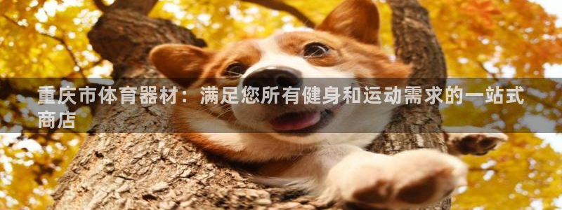 耀世平台开户流程：重庆市体育器材：满足您所有健身和运