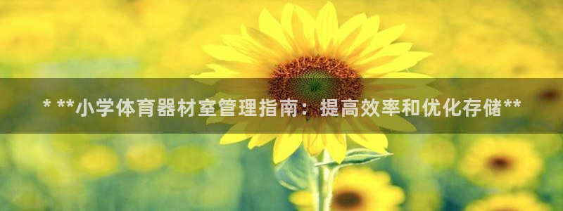 耀世集团王大聪简介：* **小学体育器材室管理指南：