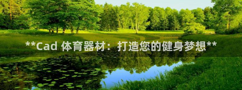 耀世平台注册最新地址：**Cad 体育器材：打造您的