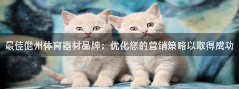 耀世娱乐登录遍333OO：最佳儋州体育器材品牌：优化