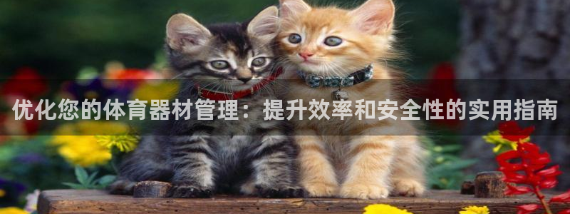 耀世娱乐在线登录官网入口：优化您的体育器材管理：提升