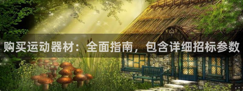 耀世娱乐含山设备：购买运动器材：全面指南，包含详细招