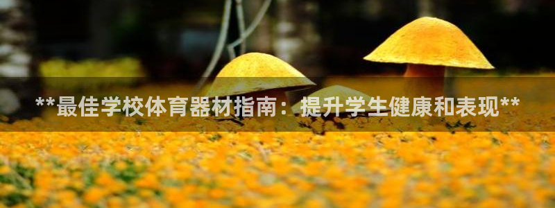 耀世娱乐扣款是7IIII扣什么：**最佳学校体育器材