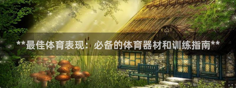 耀世x4：**最佳体育表现：必备的体育器材和训练指南