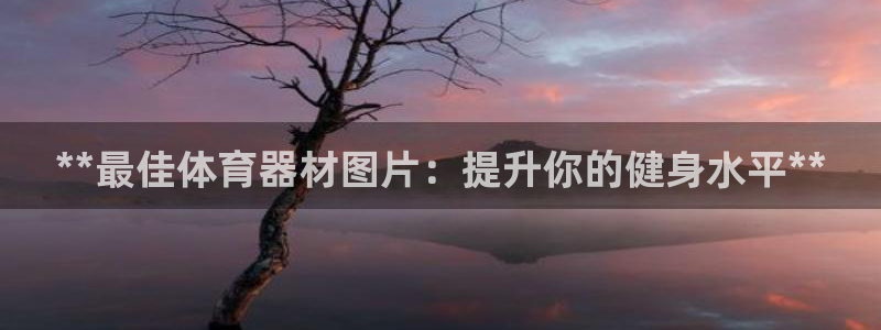 耀世集团视频直播：**最佳体育器材图片：提升你的健身