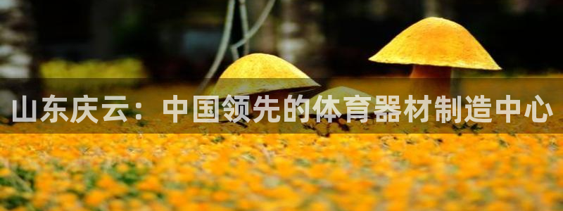 耀世的意思：山东庆云：中国领先的体育器材制造中心