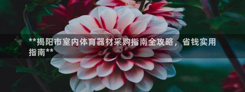 耀世第二关：**揭阳市室内体育器材采购指南全攻略，省