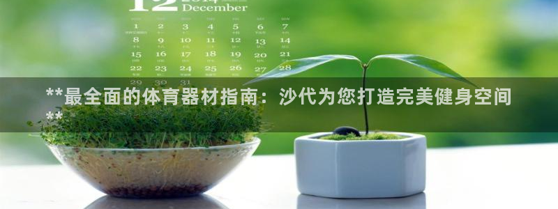 耀世娱乐登陆官网入口：**最全面的体育器材指南：沙代