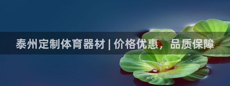 耀世登场的图片：泰州定制体育器材 | 价格优惠，品质