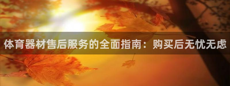 耀世盛典手游下载：体育器材售后服务的全面指南：购买后