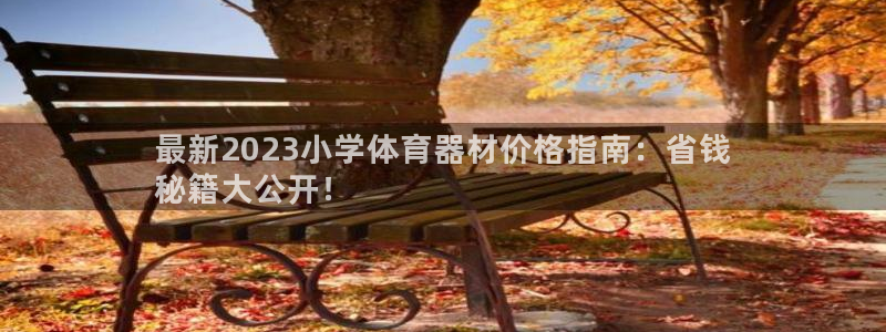 耀世平台注册最新地址：最新2023小学体育器材价格指