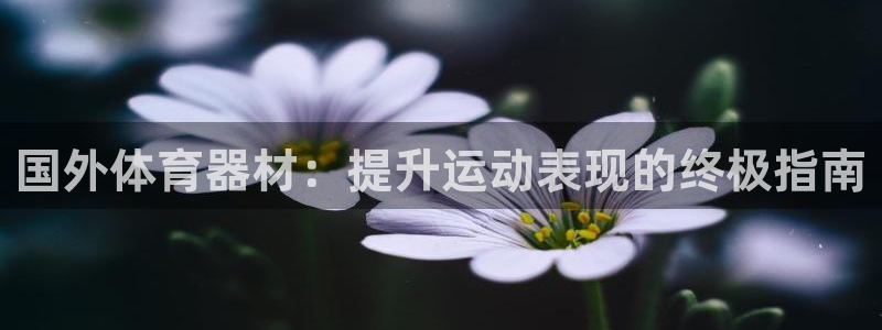 哪吒s耀世版价格：国外体育器材：提升运动表现的终极指
