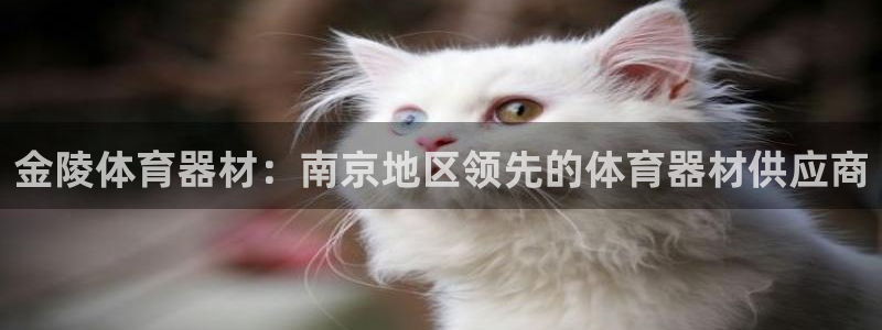 耀世第三关怎么过：金陵体育器材：南京地区领先的体育器