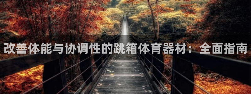 耀世集团四个字的图片：改善体能与协调性的跳箱体育器材