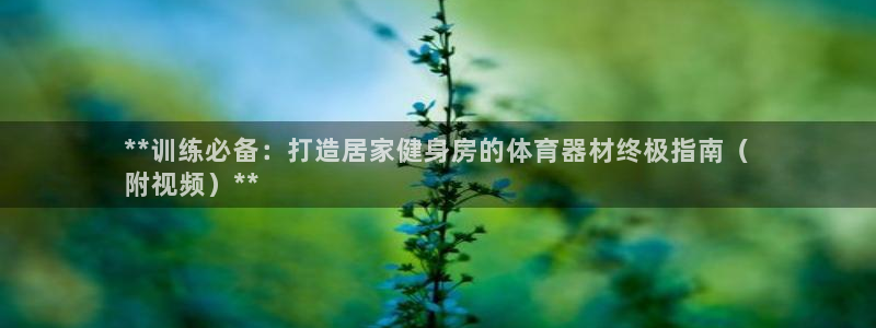 耀世平台总代理是谁：**训练必备：打造居家健身房的体