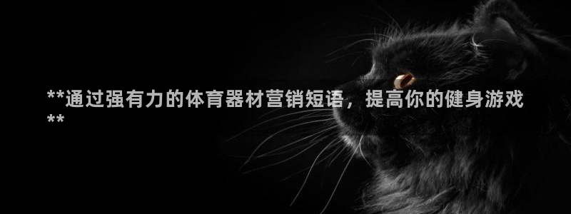 耀世令是什么：**通过强有力的体育器材营销短语，提高