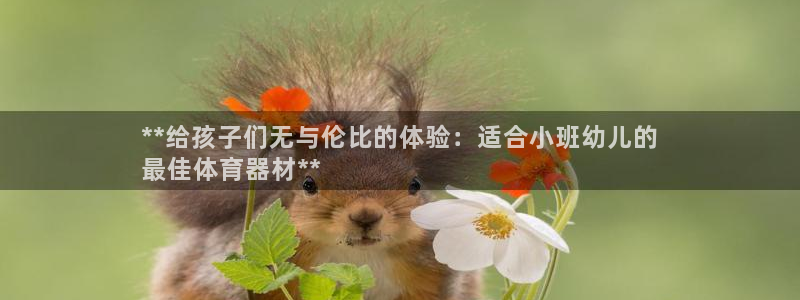 耀世登场一样的词：**给孩子们无与伦比的体验：适合小