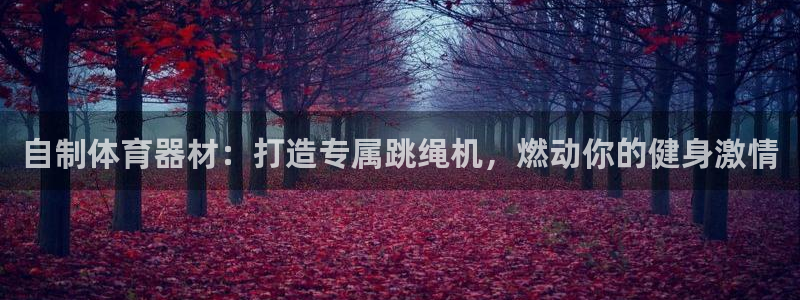 耀世娱乐官网网站下载：自制体育器材：打造专属跳绳机，
