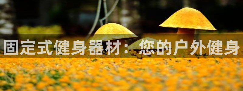 耀世国际平台正规吗可信吗：固定式健身器材：您的户外健