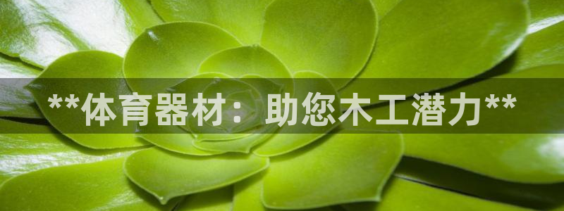 耀世娱乐骗局：**体育器材：助您木工潜力**