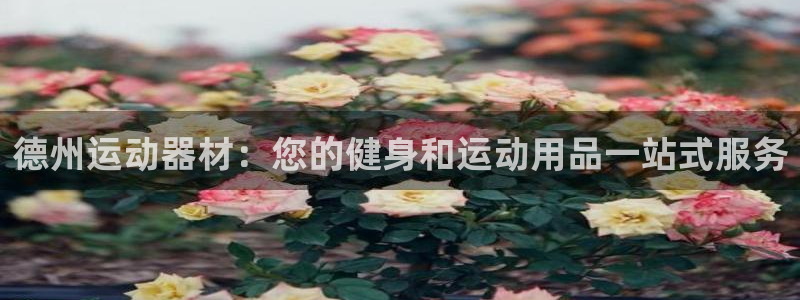 耀世娱乐注册入口：德州运动器材：您的健身和运动用品一