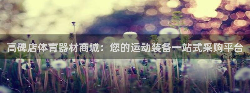 耀世娱乐注册资金多少：高碑店体育器材商城：您的运动装