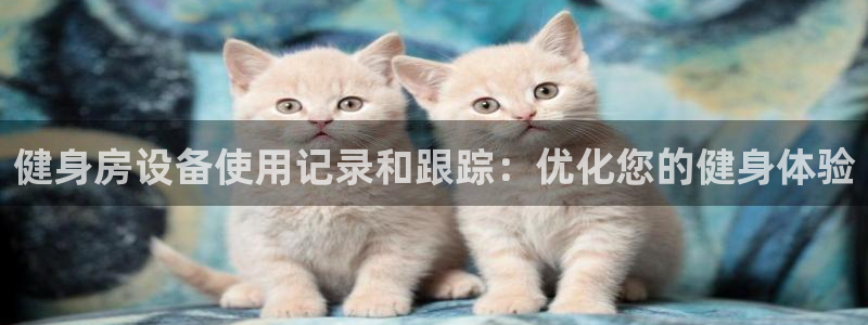 耀世登场一样的词：健身房设备使用记录和跟踪：优化您的